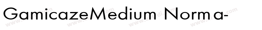 GamicazeMedium Norma字体转换